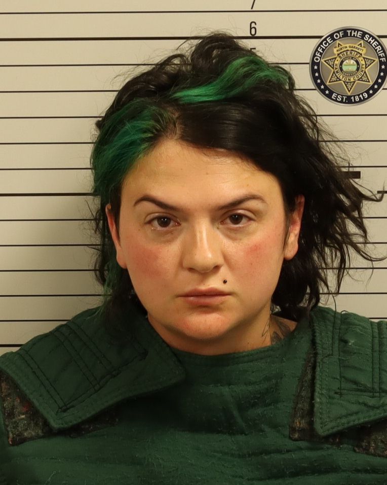 Booking photo of Danielle L Hawver