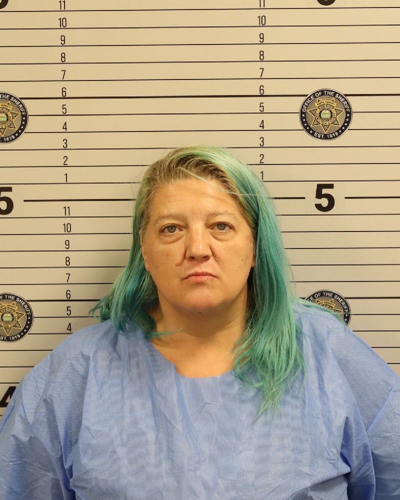 Booking photo of Brandy Michelle Smith