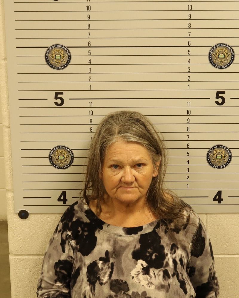 Booking photo of Patricia Kay Minton