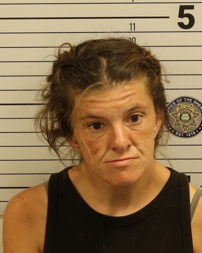 Booking photo of Priscilla Ann Robinson