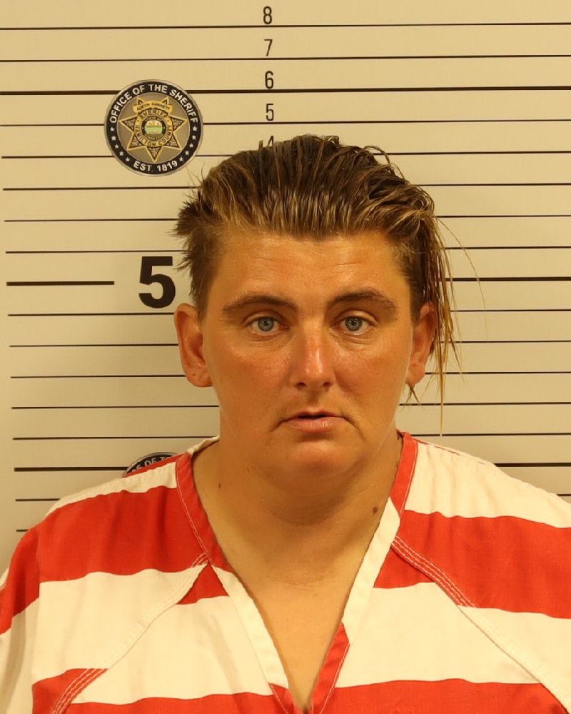 Booking photo of Cotesia Kay Carol Hughes