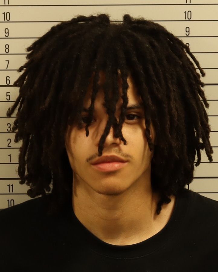 Booking photo of Dion Daniel Whitney