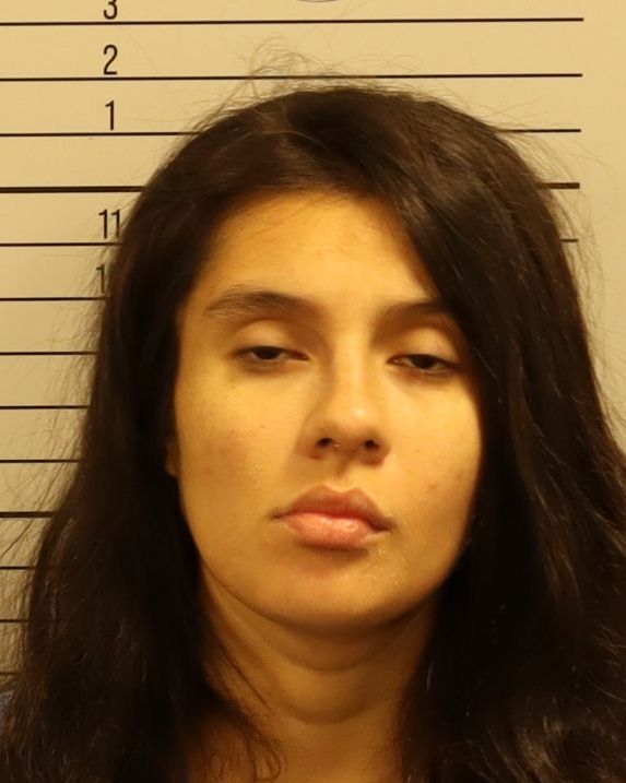 Michelle Nohelani Hairston booking photo