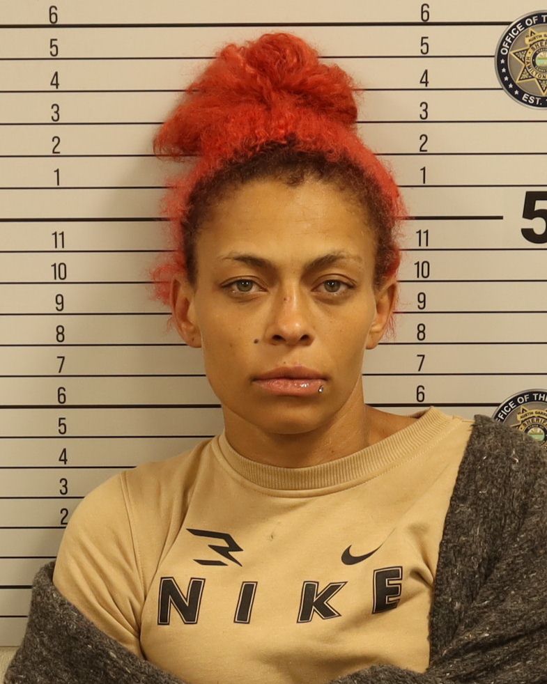 Booking photo of Sasha S Otis