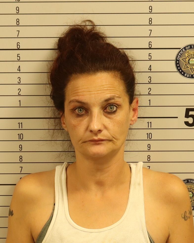 Booking photo of Brittney Alana Gillian