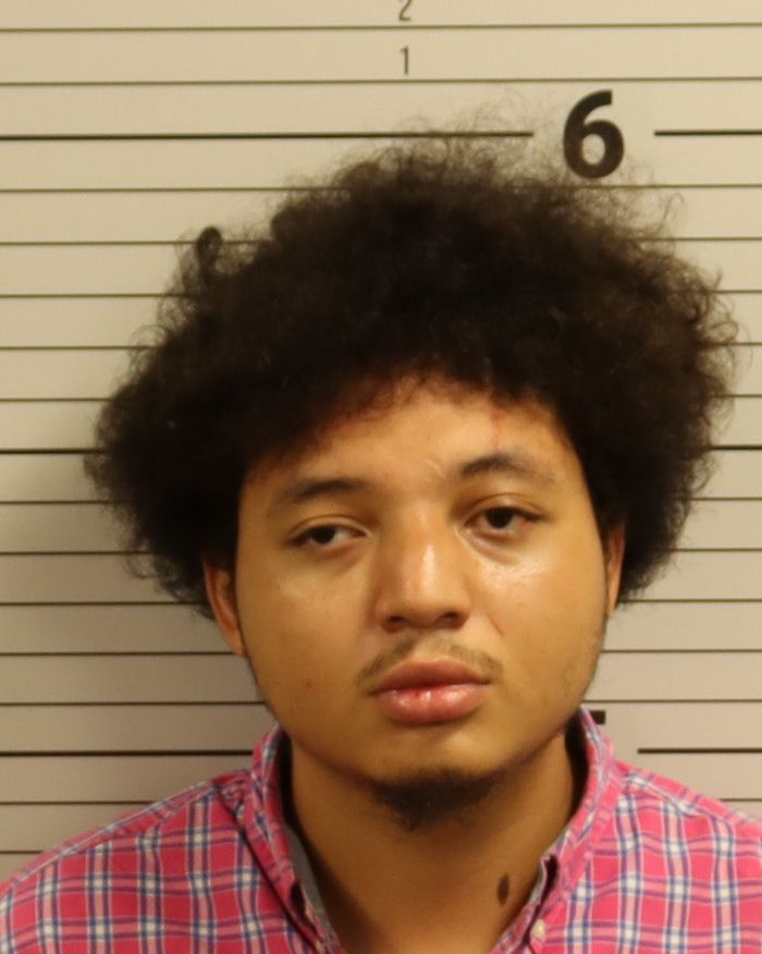 Booking photo of Hayden Dion Collins