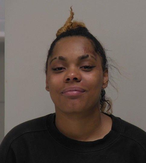 Booking photo of Erica Arnett