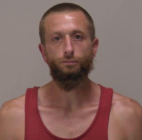 Booking photo of Levi Morel