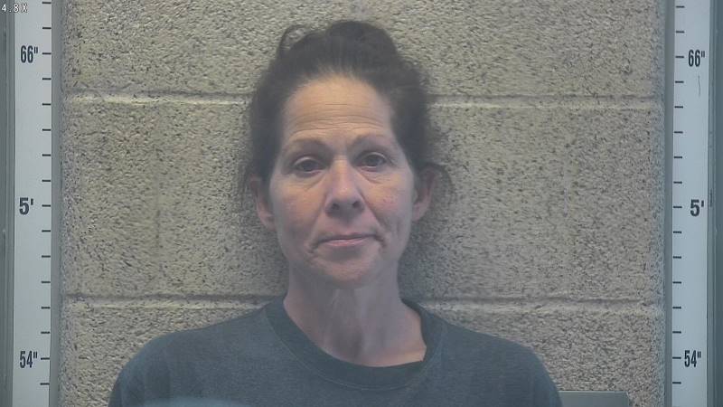 Booking photo of Cindy Hoffman