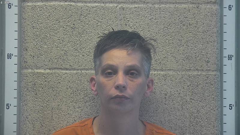 Booking photo of Terra Duncan-stone