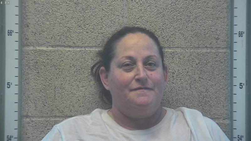 Booking photo of Brandi Stone