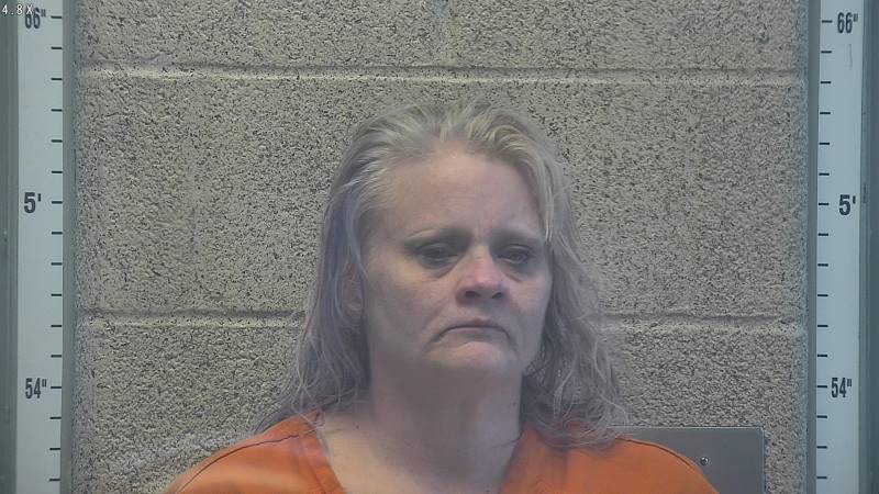 Booking photo of Misty Lamb-robb
