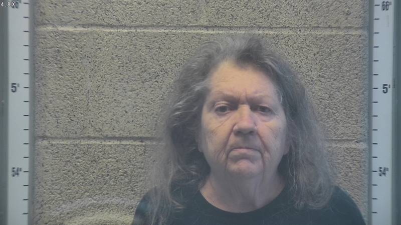 Booking photo of Robin Johnson