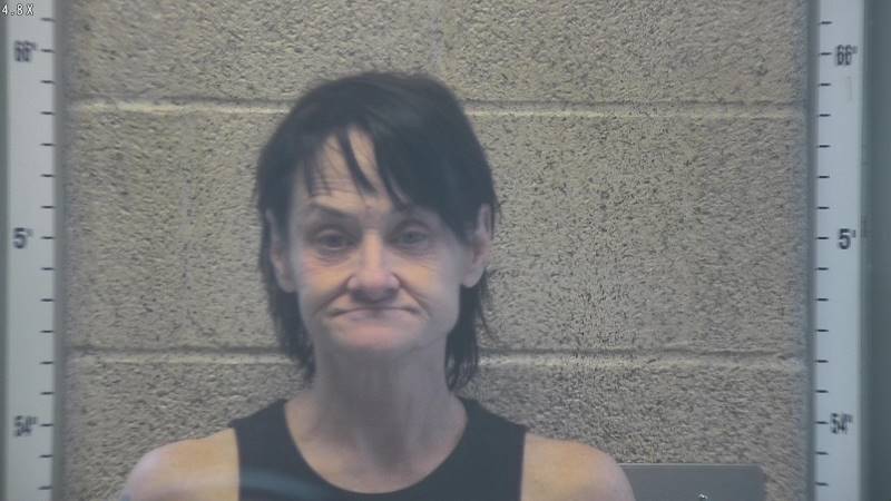 Booking photo of Stephanie Goff-reed