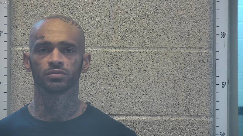 Booking photo of Matthew Cole