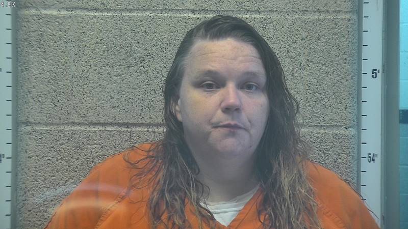 Booking photo of Meghan Vandergrift