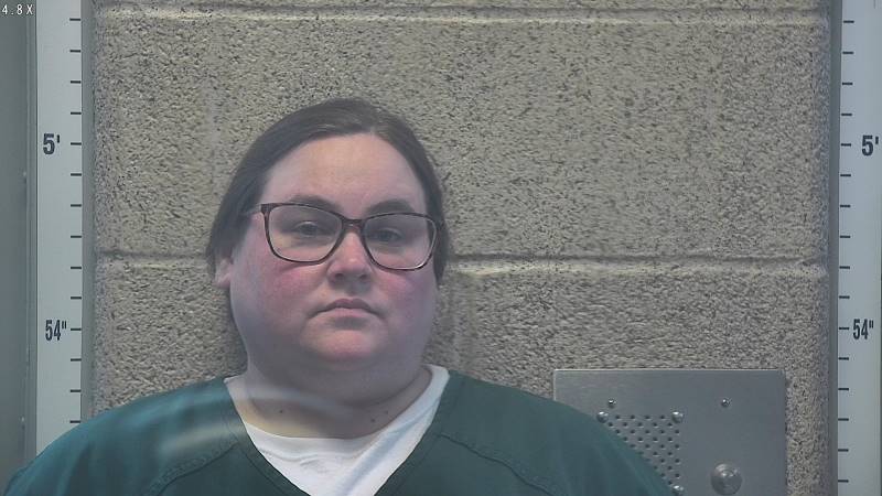 Booking photo of Amber Fowler
