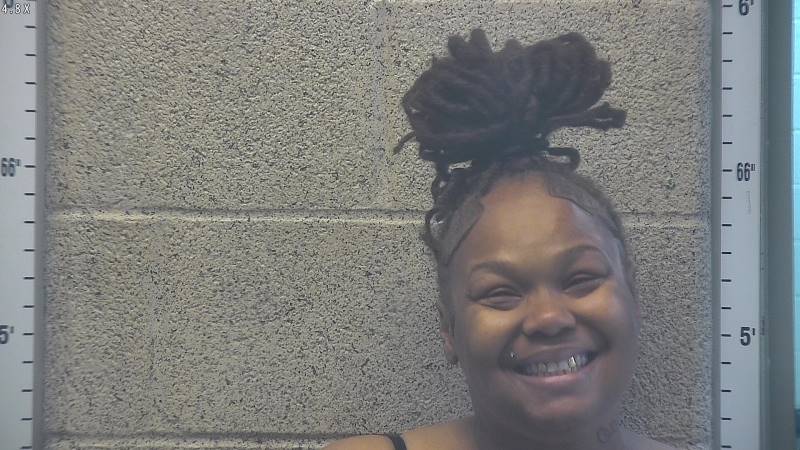Booking photo of Ashley Barnett