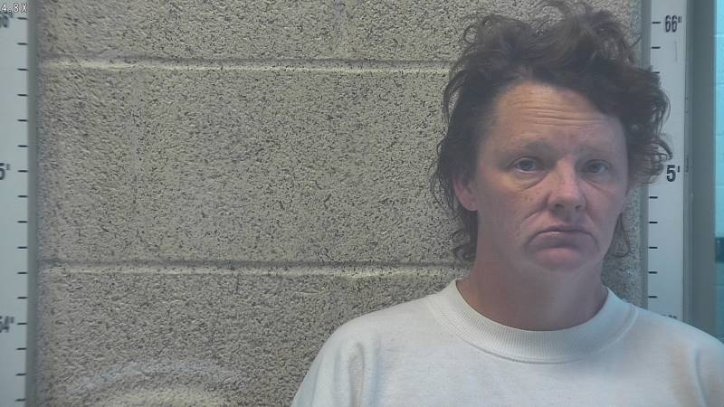Booking photo of Lisa Cole