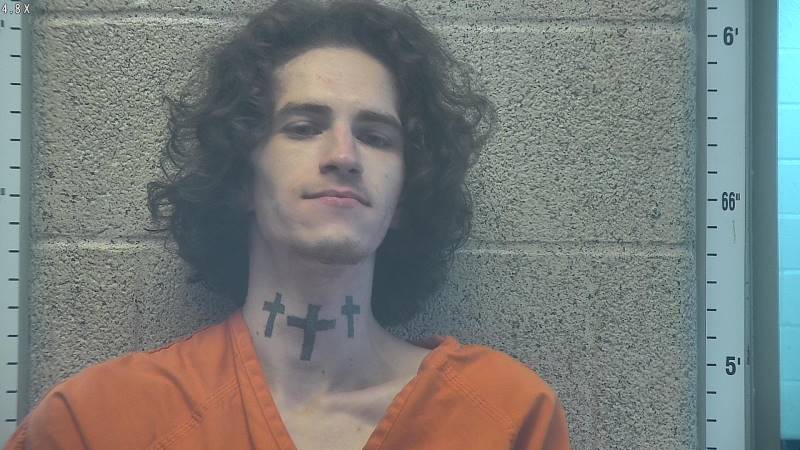 Booking photo of Logan Barr Moss