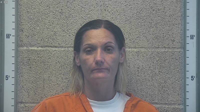 Booking photo of Heather Reeves