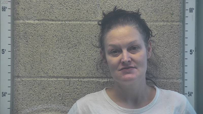 Booking photo of Brandi Cluchie