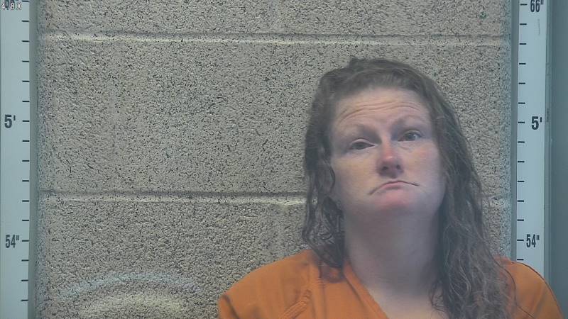 Booking photo of Lyn Horton