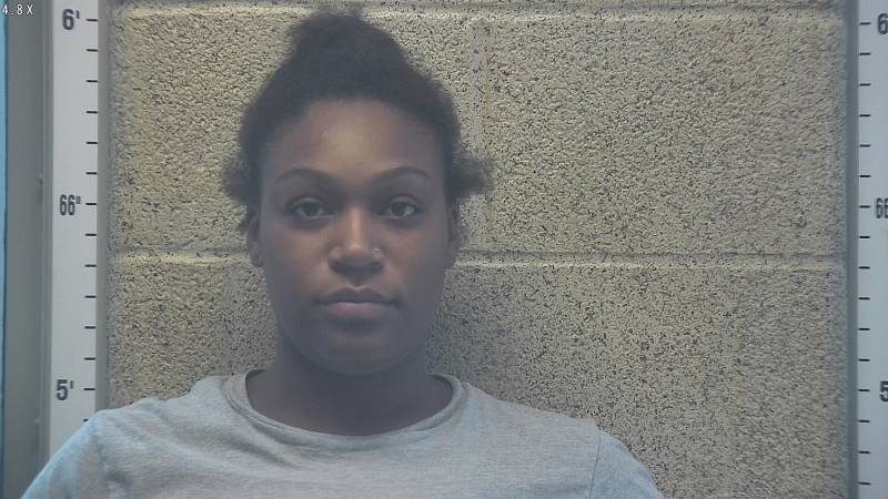 Booking photo of Nicole Fielding