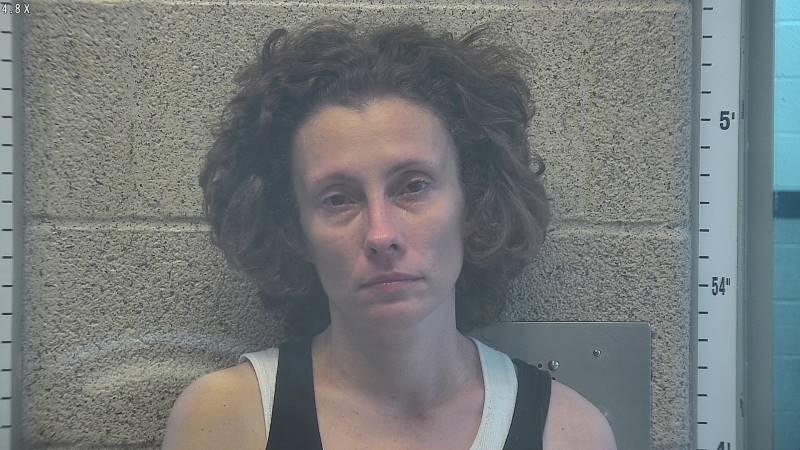 Booking photo of Amanda Coakley