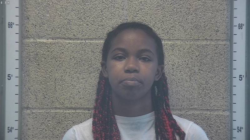 Booking photo of Alysha Wilson