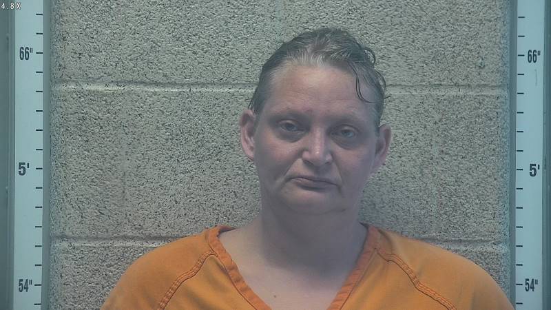 Booking photo of Amy Hudnall