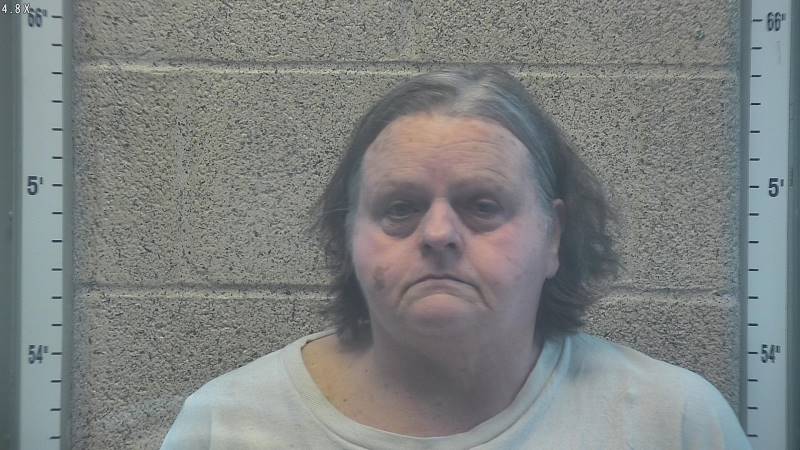Booking photo of Patricia Sanderfur