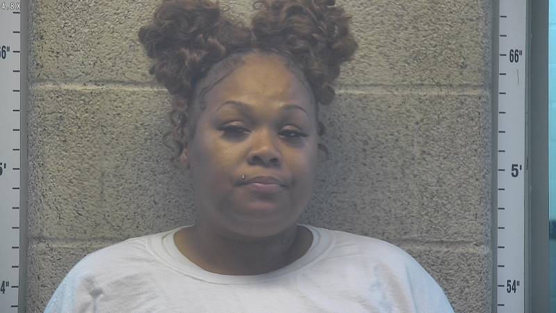 Booking photo of Ashley Barnett