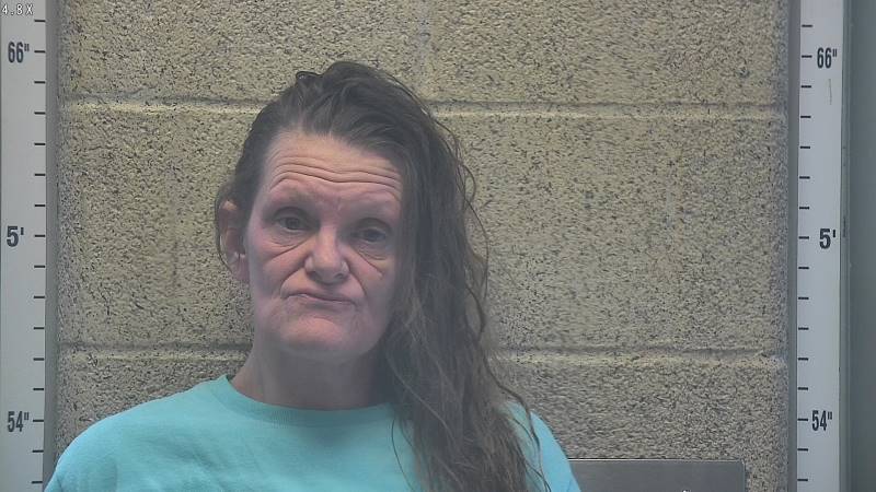 Booking photo of Elizabeth Thomason