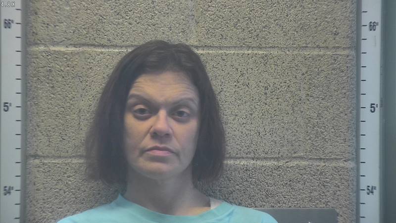 Booking photo of Sasha Bromley