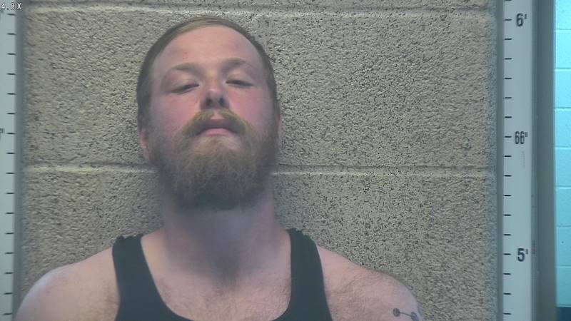 Booking photo of Dillon Batson
