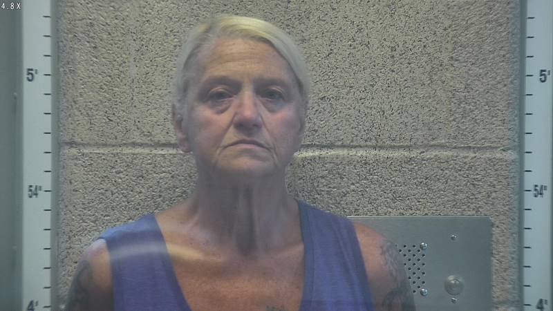 Booking photo of Theresa Smith