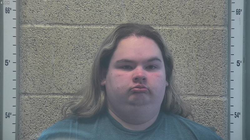 Booking photo of Kaylee Miley