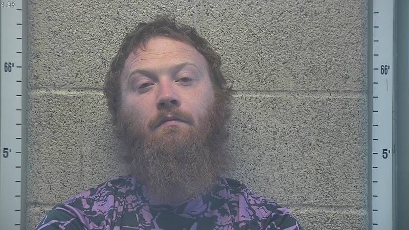 Booking photo of Wesley Mcroy
