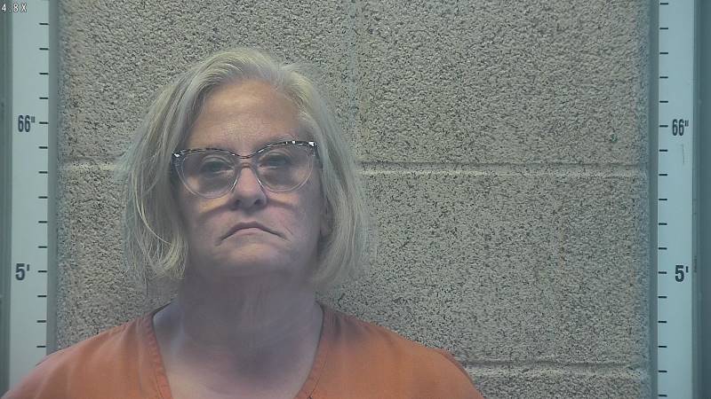 Booking photo of Heather Dolin