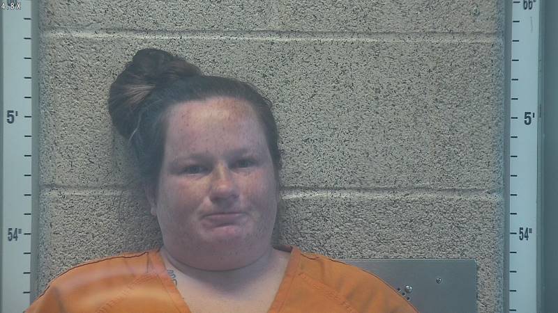 Booking photo of Cortney Reavis