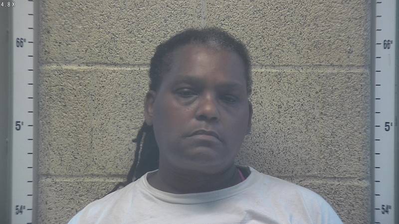 Booking photo of Shanda Boyd