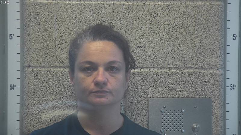 Booking photo of Ashley Tenbarge