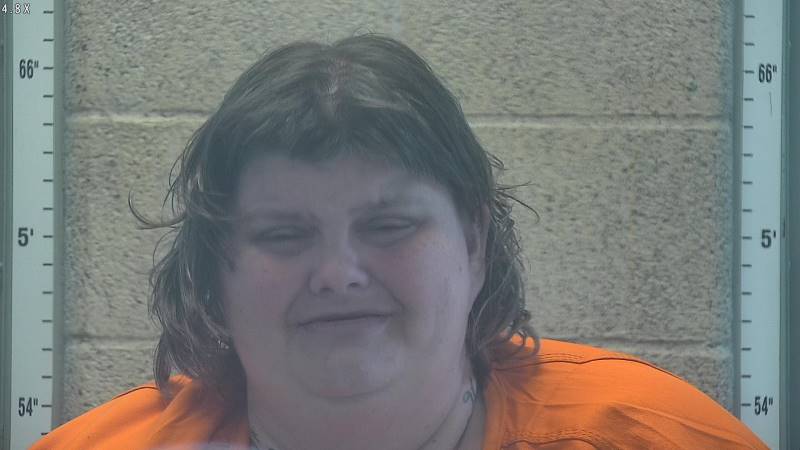 Booking photo of Randie Pirtle-holmes