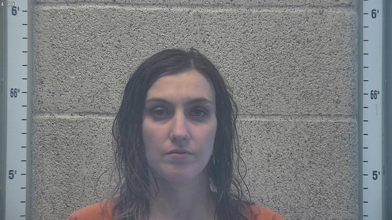 Booking photo of Alisha Bonneville