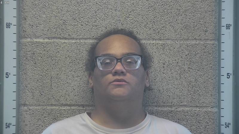 Booking photo of Jade Calmese