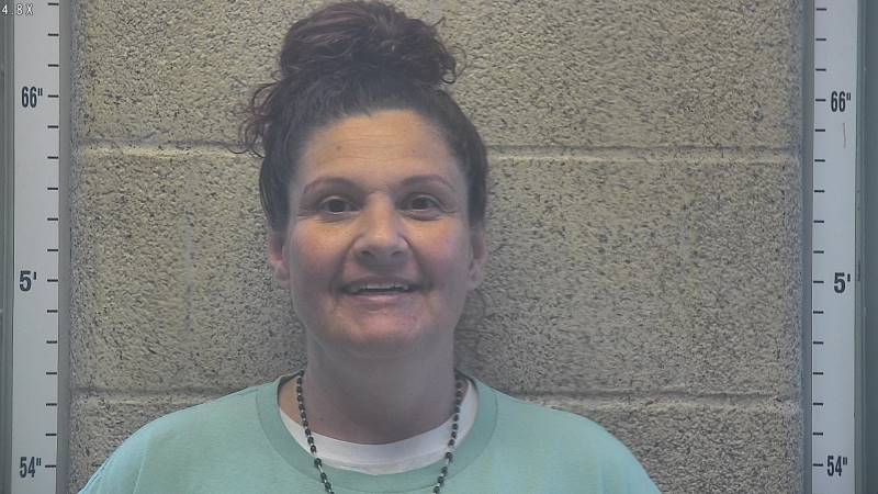 Booking photo of Nancey Ali