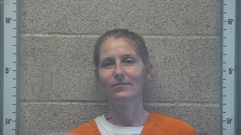 Booking photo of Tiffany Wilson