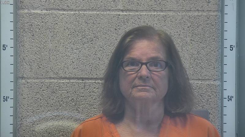 Booking photo of Lynn Sears