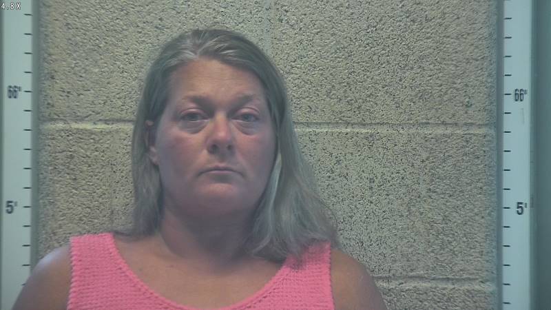Booking photo of Ashley Wheeler